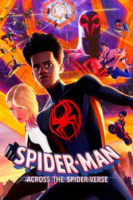 Spider Man Across The Spider Verse HD VUDU/MA or itunes HD via MA